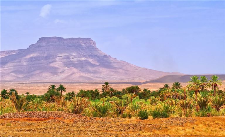 Schätze des Morgenlandes © Boris Stroujko /adobestock